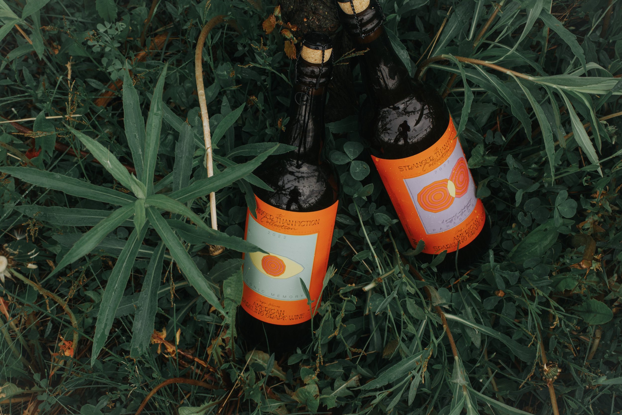 Shop Wine — ZAFA Wines